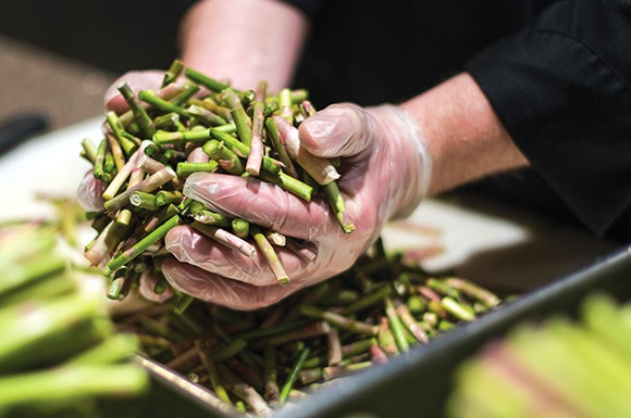 Chef holding asparagus compost